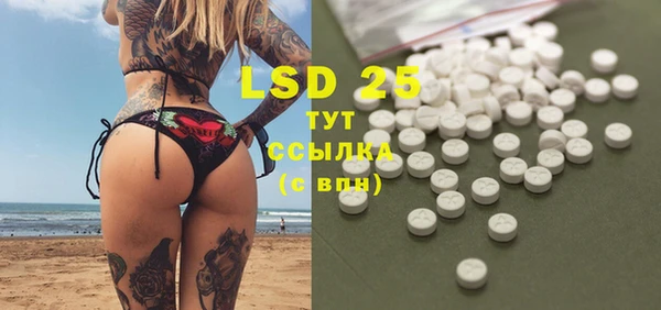 индика Осташков