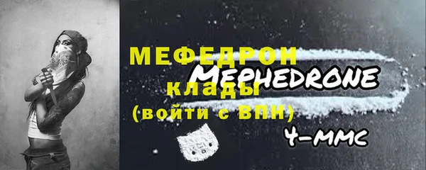 хмурый Пересвет