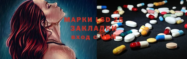 хмурый Пересвет