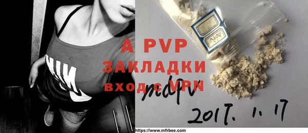 хмурый Пересвет