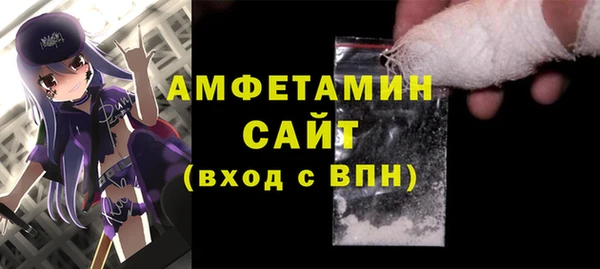 индика Осташков