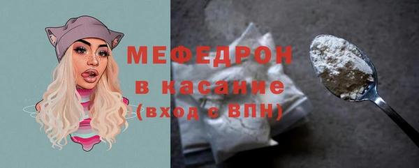 индика Осташков