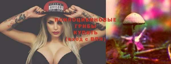 кристаллы Осинники
