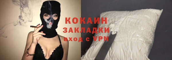 индика Осташков