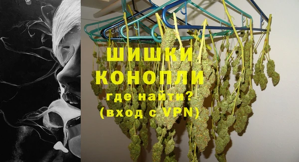индика Осташков