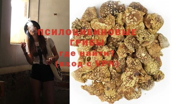 индика Осташков