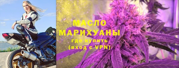 хмурый Пересвет