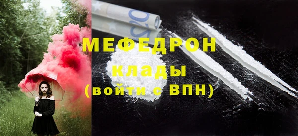хмурый Пересвет