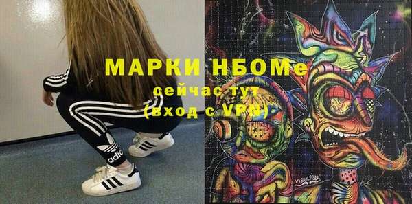 хмурый Пересвет