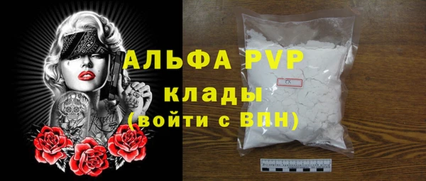 индика Осташков