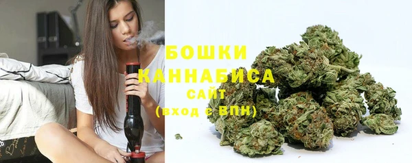 индика Осташков